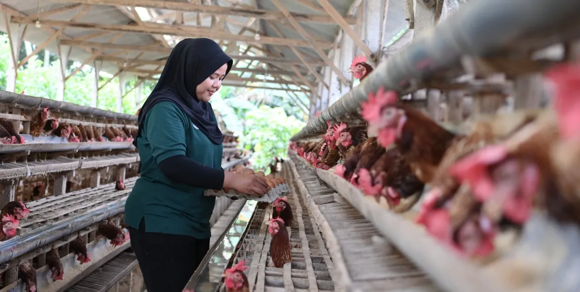 Bertani Untuk Negeri